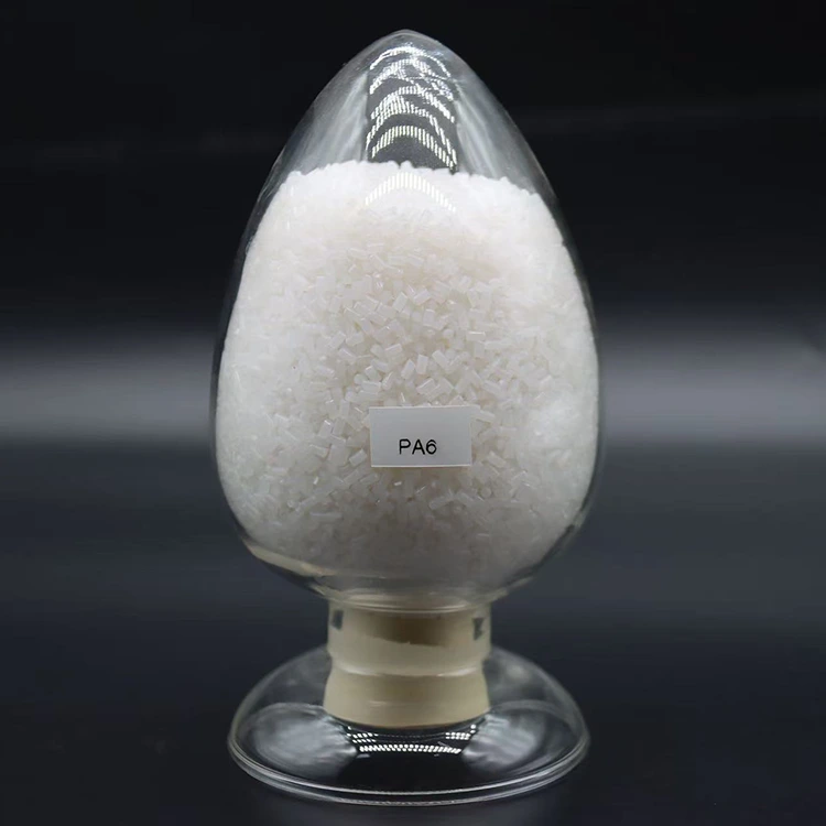Granuli di nylon PA6 biodegradabili